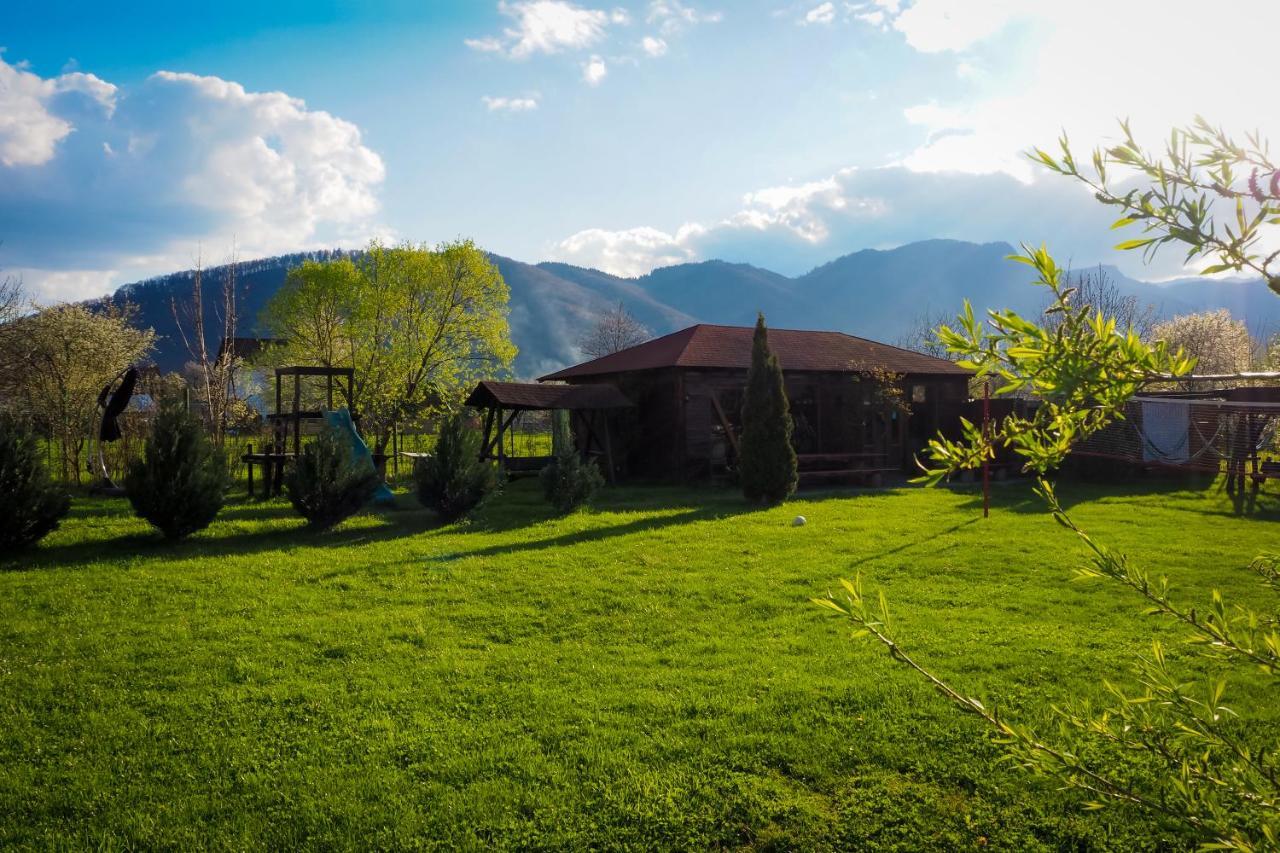 Pensiunea Riffelt Bran  Dış mekan fotoğraf